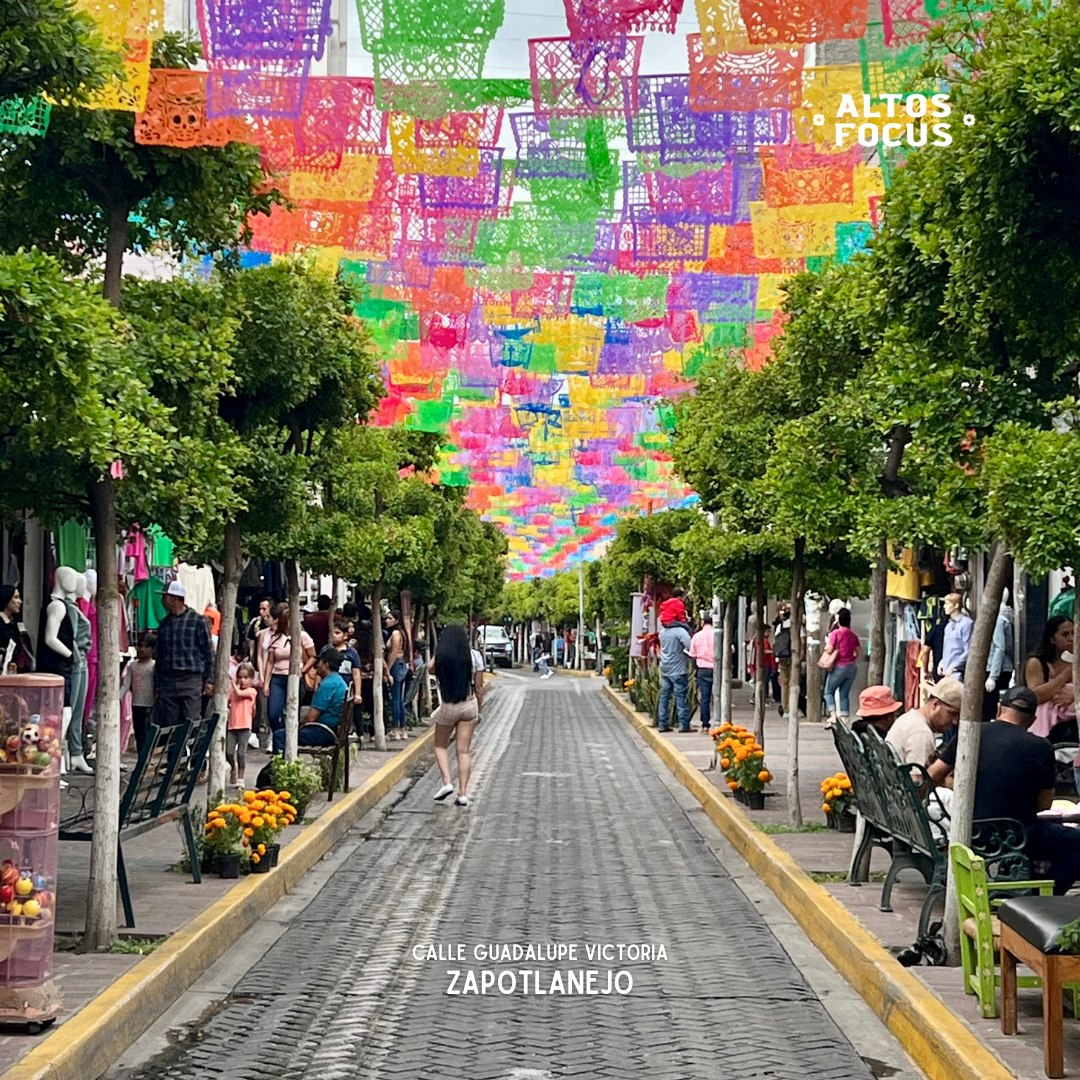 Centro tradicional de Zapotlanejo